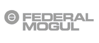 Federal Mogul